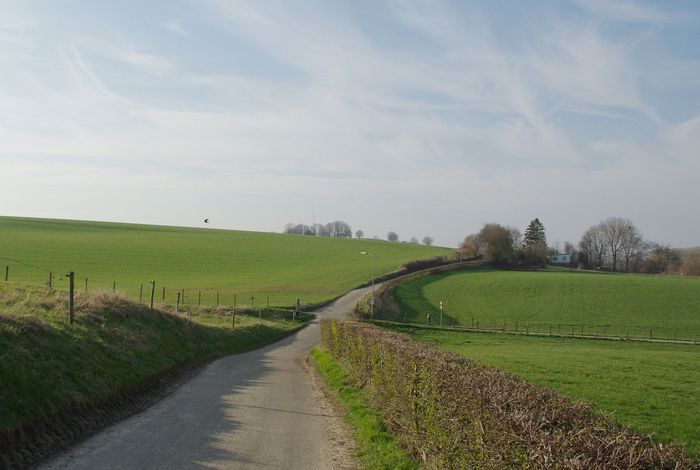 landschap