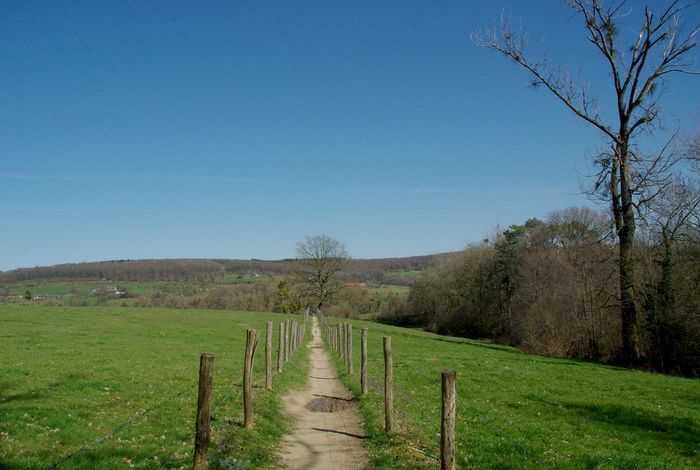 hiking trail