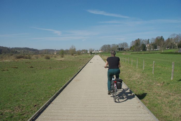 Laura bikes