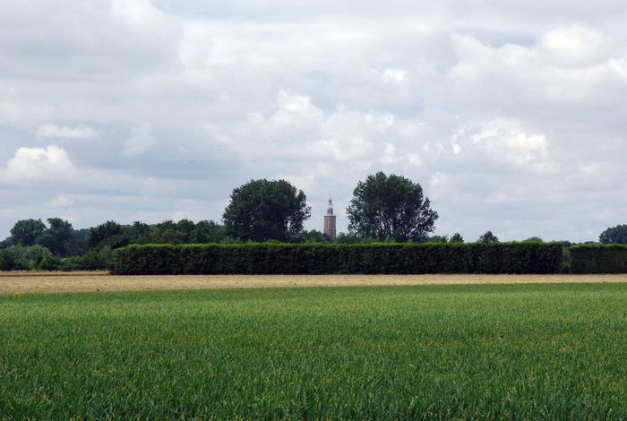 tower