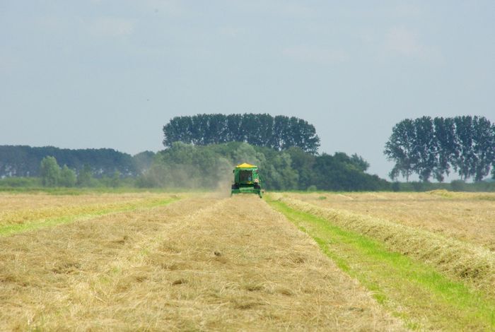 combine harvester