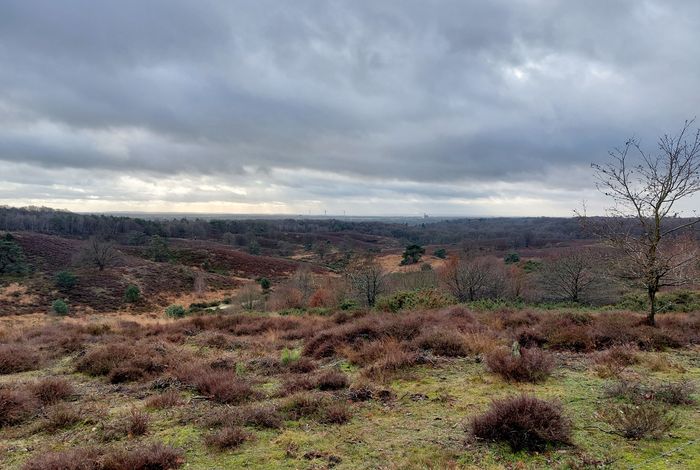 Nationaal Park Veluwezoom