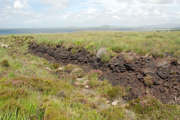 peat