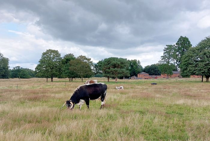 Shugborough