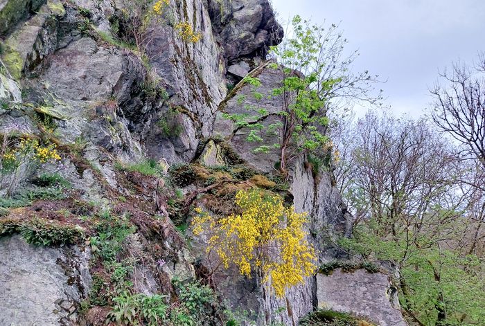 cliff