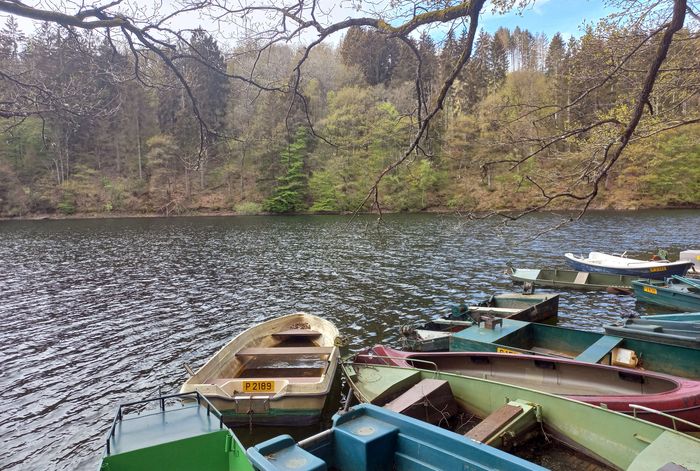boats