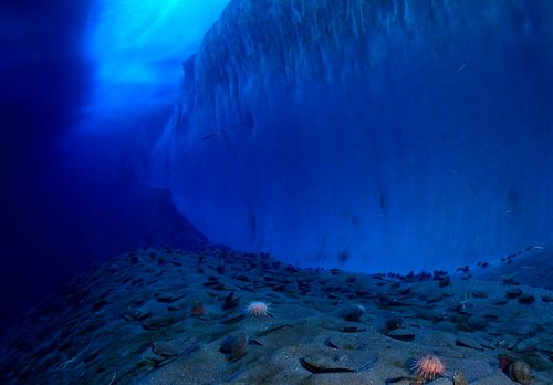 wall of ice under water