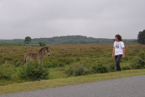 a foal and I in The New Forest
