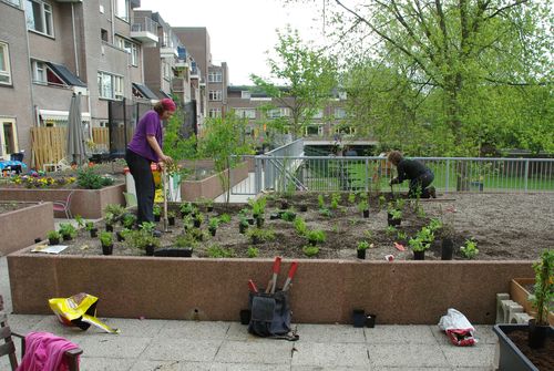 nieuwe tuin