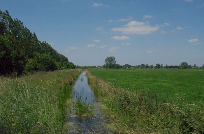 polder in de omgeving van Lexmond