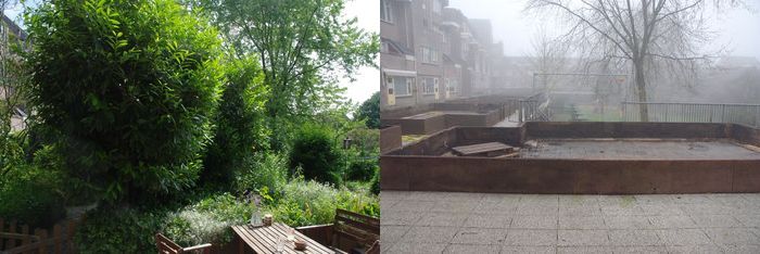 our garden then and now