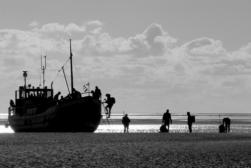 wadlopen