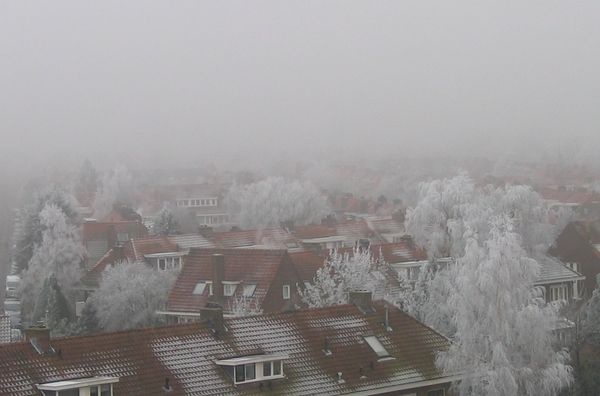 Tuindorp in de sneeuw