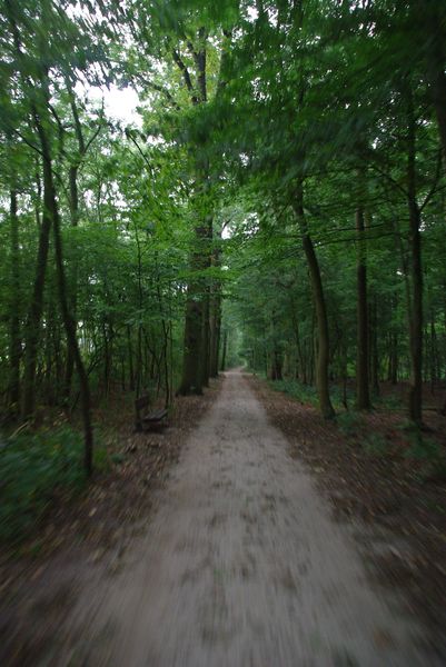 Fietsend op een bospad