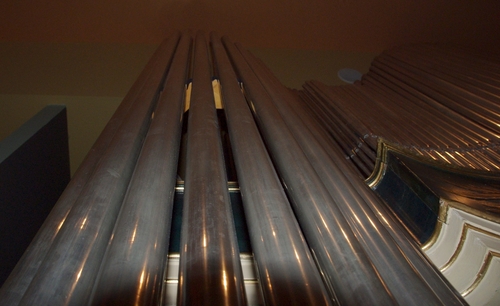 one of the organs
