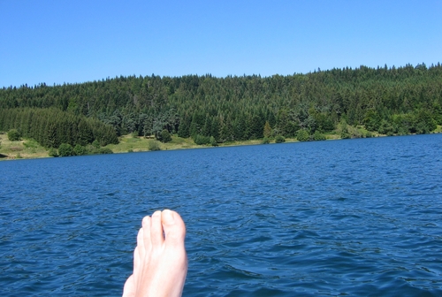 from the pedalo