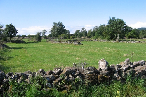 meadows with walls