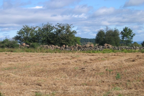 muurtje met rode stenen bovenop