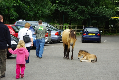 at the parking-lot in Burley