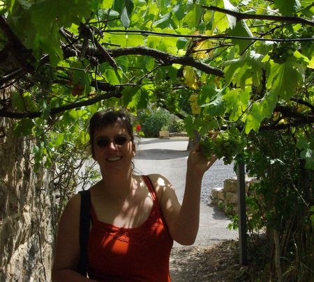 druiven in Le Cheylard