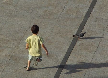 little boy in the square