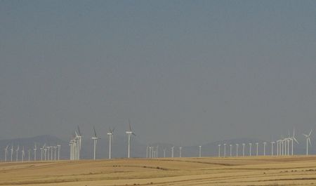 windmills