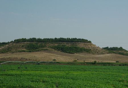 irrigation