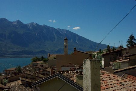 view of the roofs in Limone from the nursery garden