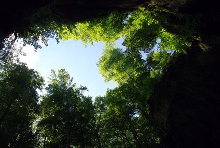 the view upwards