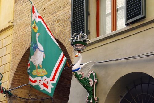 flag with geese