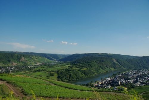 Moselle