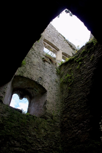 Carew Castle