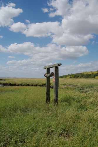 Sheppey