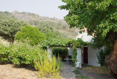 house and terrace