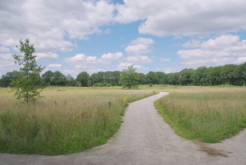 natural burial ground