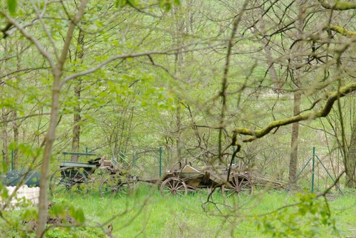 Bad Brückenau