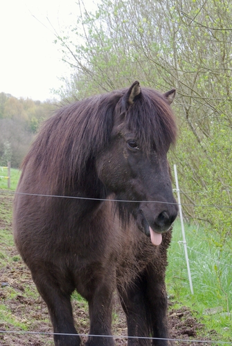 Bad Brückenau