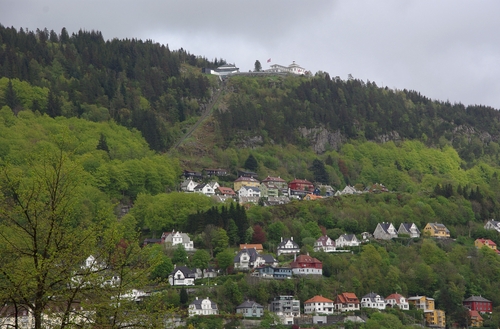 Fløyen