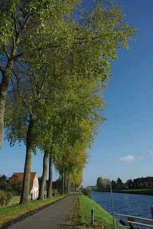 along the Damse Vaart