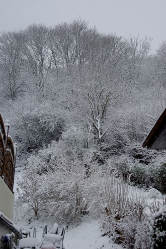 snowy hillside