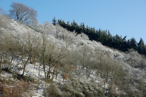 snow landscape