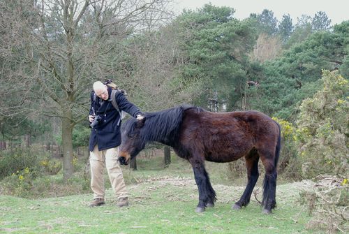 Michel petting a horse in the New Forest