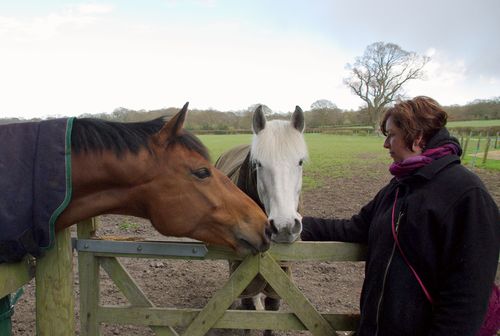 Laura and two horses