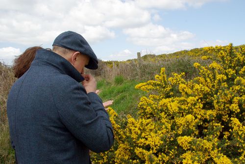 Judge smelling the gorse