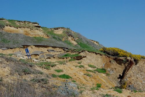 shore line near Barton-on-Sea