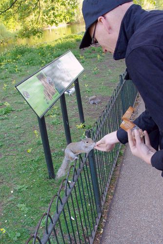 Michel feeds a squirrel