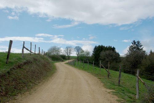 hiking path