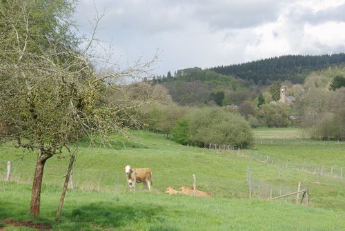 view of the village