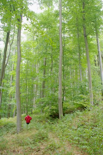 Laura in the forest