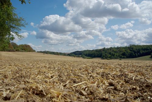 landschap